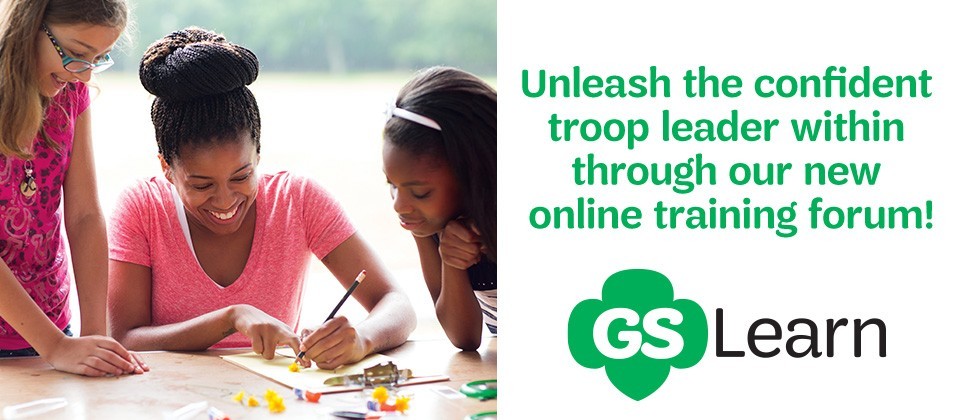 2019 Volunteer Online Learning 2019 Volunteer Online Learning